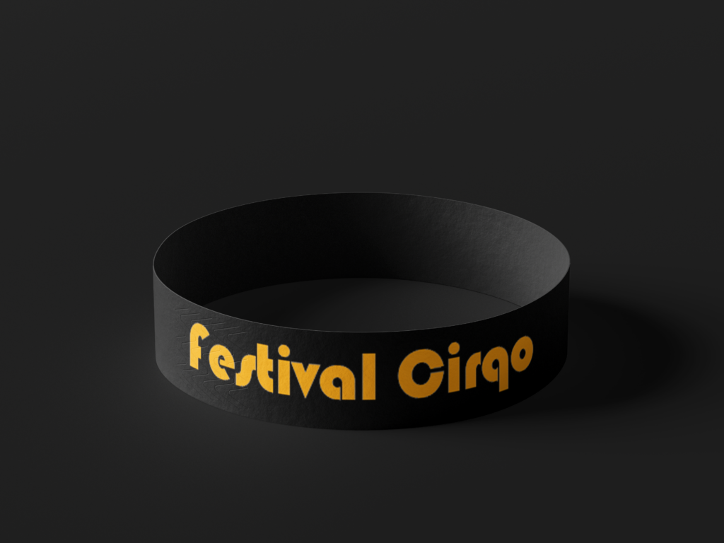 festival cirqo case project armband